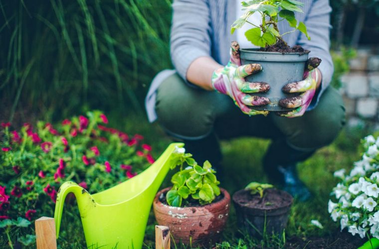 Giardino? Abbelliscilo con gazebi, fontane e piante decorative