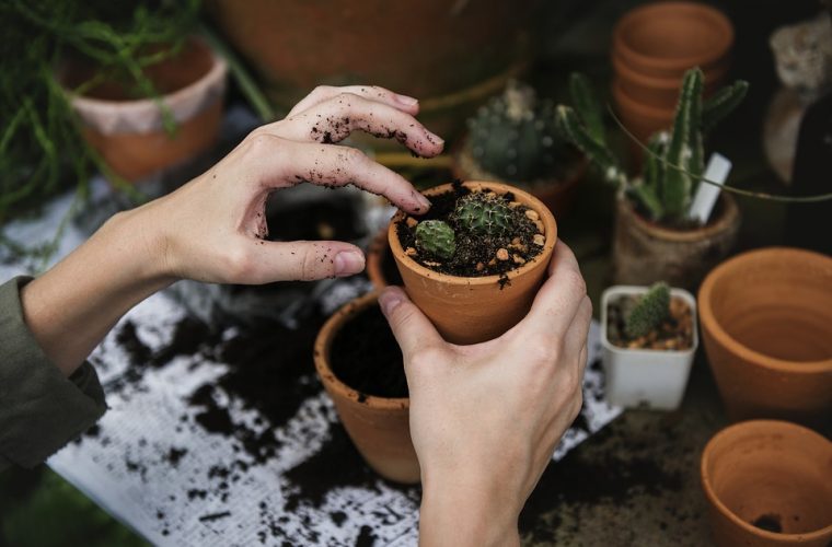 Attrezzatura da giardinaggio indispensabile